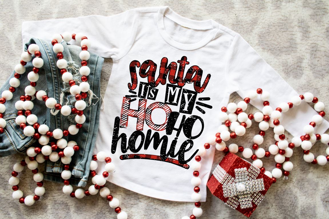 Santa Is my Ho Ho Homie (short sleeve) YOUTH 🎄