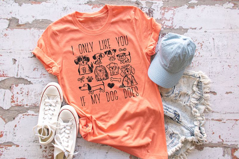 I Only Like You If My Dog Does