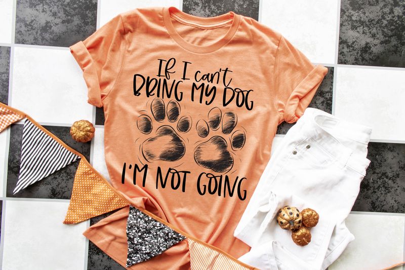 Pets 🐶😺