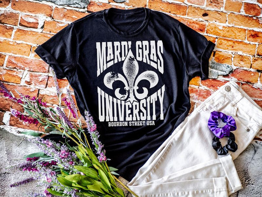 Mardi Gras University Bourbon Street USA