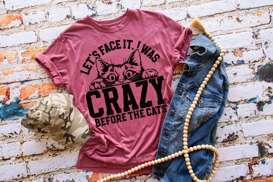 Let's Face It I Was Crazy Before The Cats