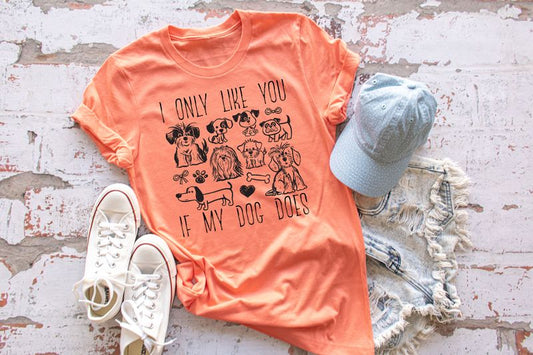 I Only Like You If My Dog Does