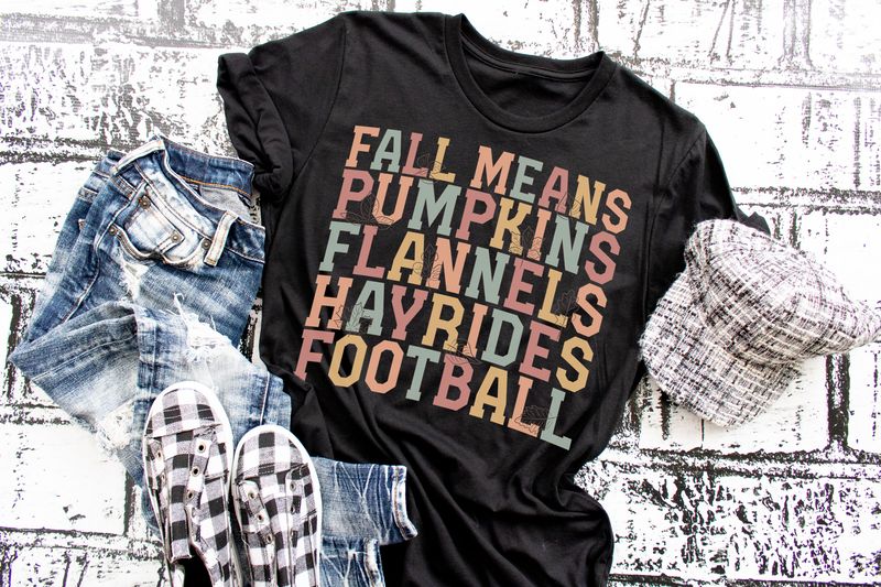 Fall Means Pumpkins Flannels Hayrides Football
