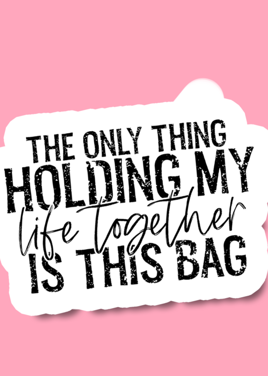 The Only Thing Holding My Life Together Is This Bag